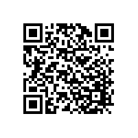 上海催先生安裝韋柏隱形紗窗門