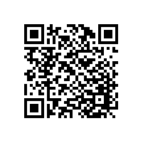 上海陳先生安裝韋柏隱形紗窗門