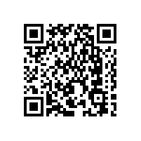 上海黃先生安裝韋柏隱形紗窗門