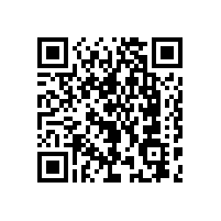 上海黃先生安裝韋柏隱形紗窗門