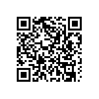 上海黃先生安裝韋柏隱形紗窗門