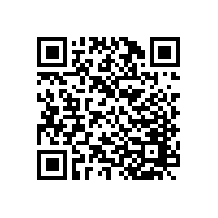 上海霍先生安裝韋柏隱形紗窗門