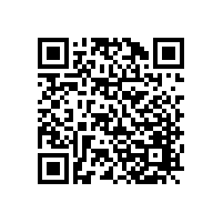 上海金小姐安裝韋柏隱形紗窗門