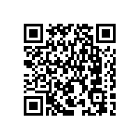 上海羅先生安裝韋柏隱形紗窗門