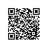 上海柳先生安裝韋柏隱形紗窗門