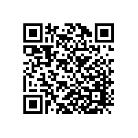 上海王小姐安裝韋柏隱形紗窗