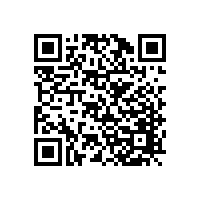 上海吳先生安裝韋柏隱形紗窗門