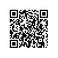 上海王先生安裝韋柏隱形紗窗門