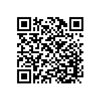 上海王先生安裝韋柏隱形紗窗門