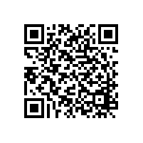 羅茨風(fēng)機(jī)進(jìn)氣口堵塞怎么辦？