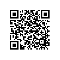 羅茨鼓風(fēng)機價格戰(zhàn)讓客戶承擔(dān)了哪些風(fēng)險？
