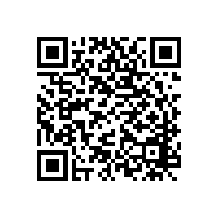 羅茨鼓風(fēng)機(jī)吱吱響的原因是什么？