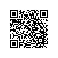 内蒙古紫光化工有限责任公司20000吨/年固体氰化钠项目安全专项评价