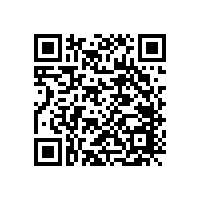 6*6*4.3-21MM輕觸開關(guān) KAN0611