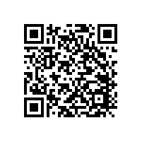 撥動(dòng)開關(guān)的組成與特性