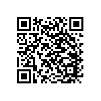 國內(nèi)輕觸開關(guān)廠家