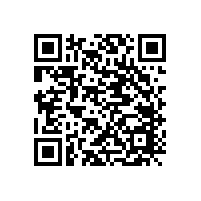 港源電子拔動(dòng)開關(guān)產(chǎn)品介紹