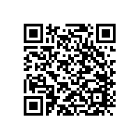 輕觸開關里面都用什么彈片？