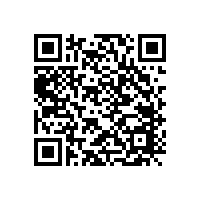 手機按鍵開關3.9*1.55輕觸開關   KAN1542