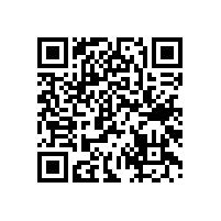 微動(dòng)開關(guān)G15系列