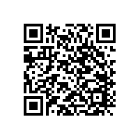 應(yīng)用于藍(lán)牙音箱 路由器的沉板式電源插座 DC-035