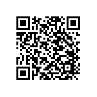 應(yīng)用于微波爐上的微動(dòng)開關(guān)