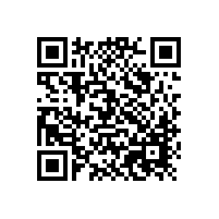 辦公椅直銷廠家之老板辦公椅篇【碧江家具】