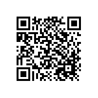 辦公轉(zhuǎn)椅電腦椅，為您撐腰【碧江家具】