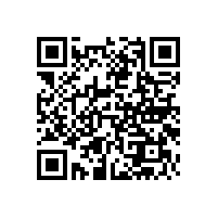 皮質弓形辦公椅，哪種好【碧江家具】