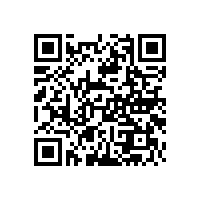 上海花旗軟件技術服務公司