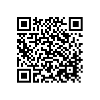 現(xiàn)代簡(jiǎn)約辦公椅，招財(cái)貓款式老板椅【碧江家具】