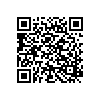 皮革加工客戶認購銀箭閃光型鋁銀漿