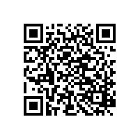 銀箭加氣塊用鋁粉膏——小應(yīng)用大舞臺(tái)