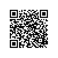 銀箭鋁銀漿參加國際涂料展（廣州）超級璀璨