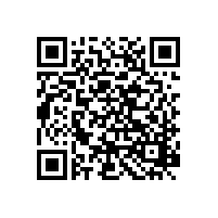怎樣讓我們的生活環(huán)境更純凈安全？銀箭鋁銀漿為您分憂