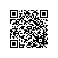 2024年深圳這個(gè)區(qū)DCMM二級(jí)及以上企業(yè)有機(jī)會(huì)獲補(bǔ)貼！