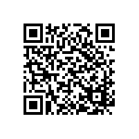 軟件安全開(kāi)發(fā)服務(wù)資質(zhì)是評(píng)價(jià)什么內(nèi)容？有幾級(jí)？