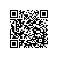 2013年李文鎖城集團上半年度經(jīng)濟工作會議順利召開