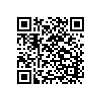 李文鎖城教您如何取出斷在鎖里的鑰匙