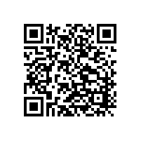 我 的 保 險(xiǎn) 柜 銷 售 經(jīng)