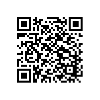 有關(guān)李文鎖城公司品牌建設(shè)與連鎖店管理方面的建議