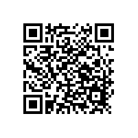 2015年廚房設(shè)備互聯(lián)網(wǎng)搜索數(shù)據(jù)分析