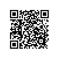 高效節(jié)能中餐燃?xì)獬床嗽顮庝h廚房設(shè)備霸主