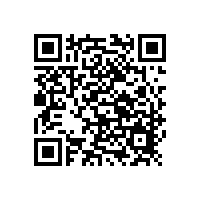 中國(guó)未來(lái)餐廚垃圾處理對(duì)策