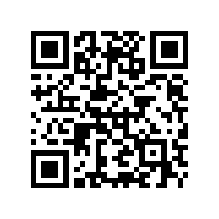 存货的界定.