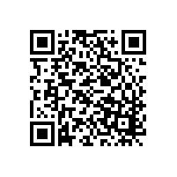 注册公司时股东注意外资公司注册类型