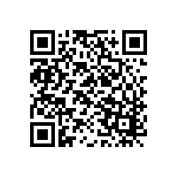 注册公司注意的问题总公司与分公司含义工商注册