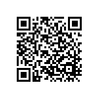 湖北省襄陽市廣場大型景觀燈工程案例