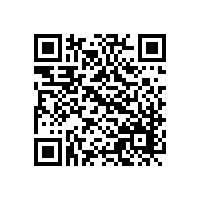 奉賢做的很大的那家儲(chǔ)氣罐廠家叫什么名字