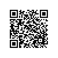 上海申江除了儲(chǔ)氣罐還有其他銷售業(yè)務(wù)嗎？